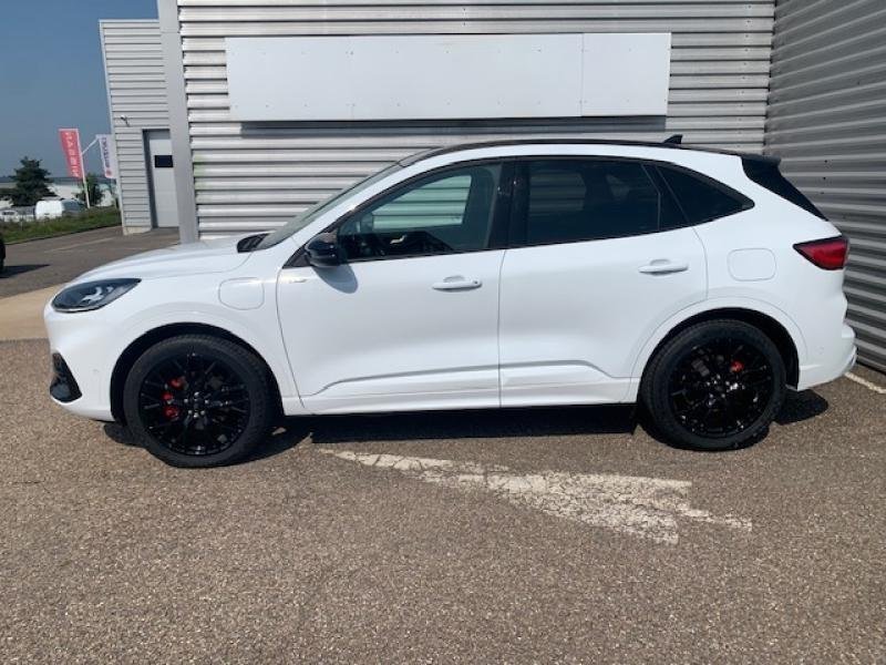 ford - Visuel 2