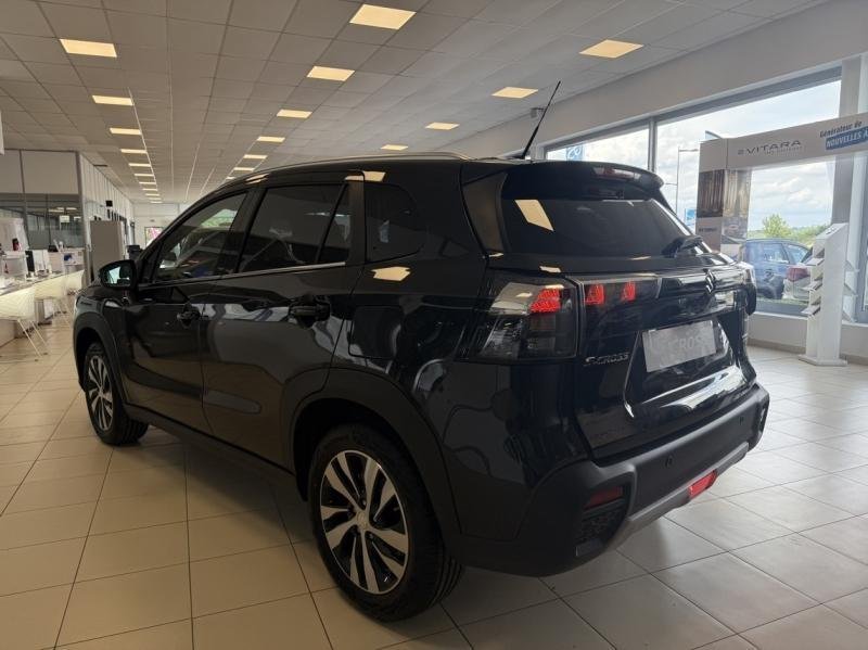 suzuki - Visuel 3