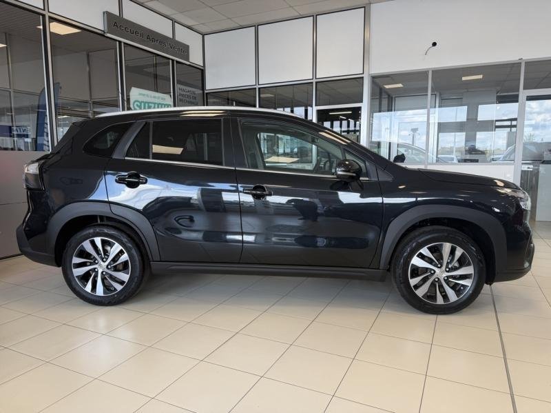 suzuki - Visuel 4